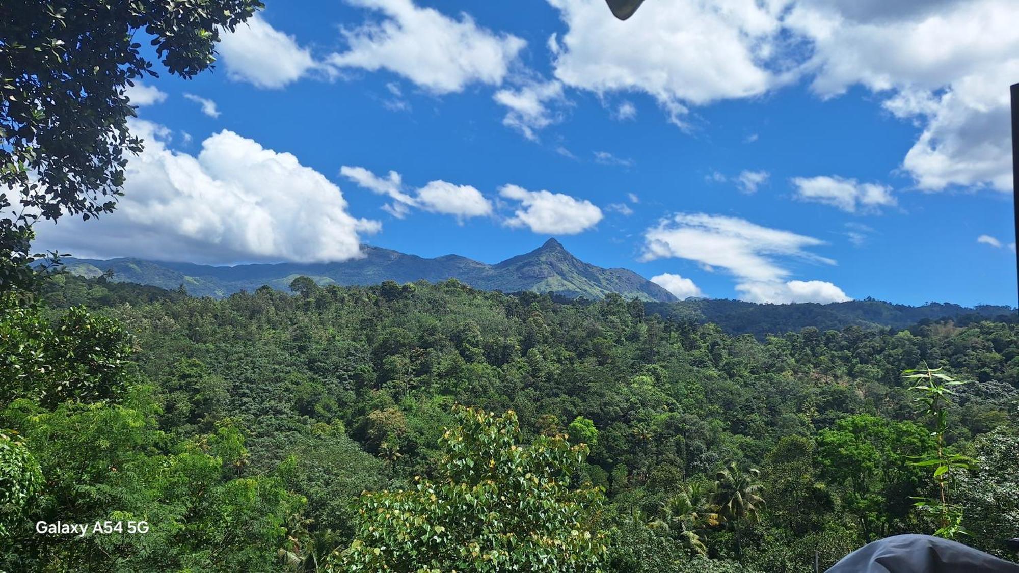 WinterHome homestay Munnar Bilik gambar